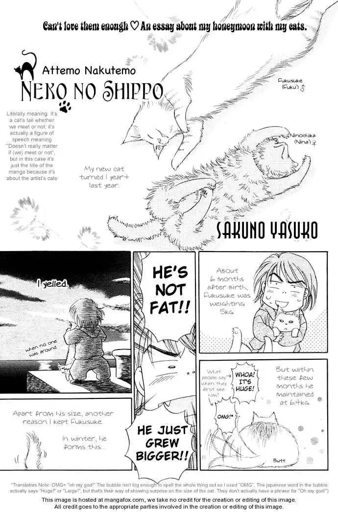 Attemo Nakutemo Neko no Shippo Chapter 1 3